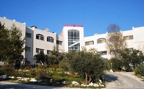 فندق غصن الزيتون